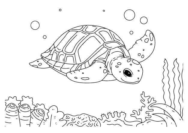 Children coloring book page 4 turtle under sea nature