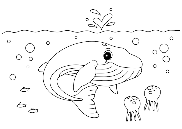 Children coloring book whale page