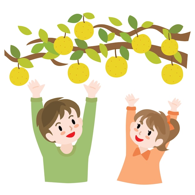 Children doing pear picking in the orchard