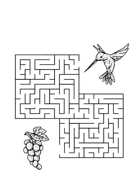 Страница образования детей лабиринт 3 помогите птице для иллюстрации винограда