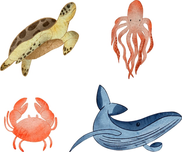Children's illustration of marine animals Turtle crab octopus and whale graphics