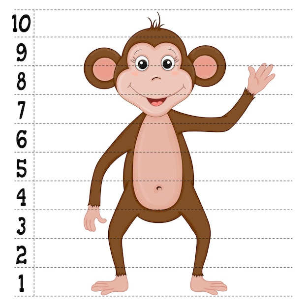 Тонкотелая обезьяна 6