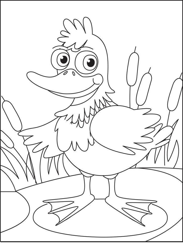 Vector childrens coloring book bird page background