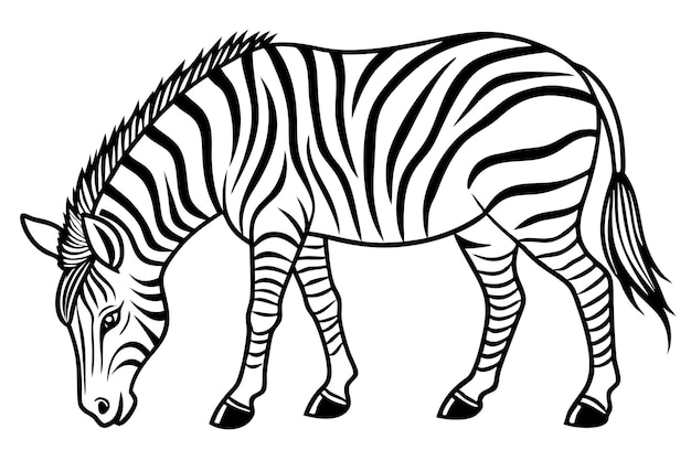 childrens simple coloring book page zebra