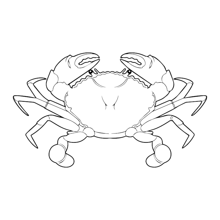 Vector 새우 의 어린이 의 스케치 일러스트레이션