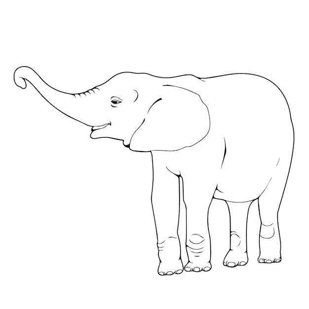 Vector childrens sketch illustration of a elephant