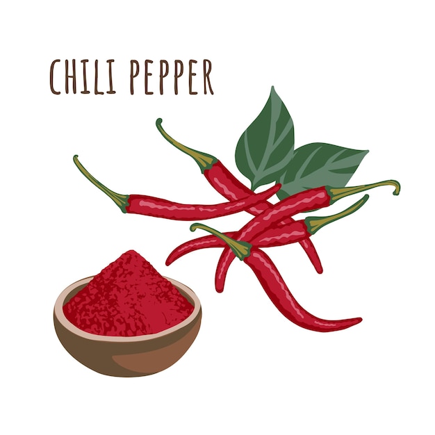 Chili peper kruiden en poeder in kruidenkom. platte stijl. vector illustratie