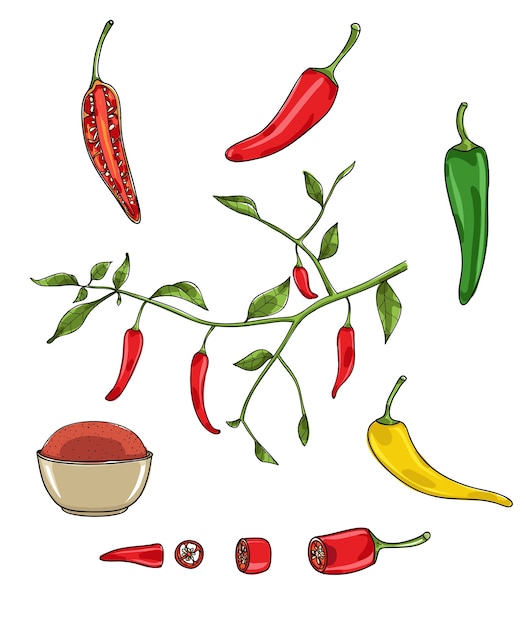 Chili pepers vector illustratie instellen