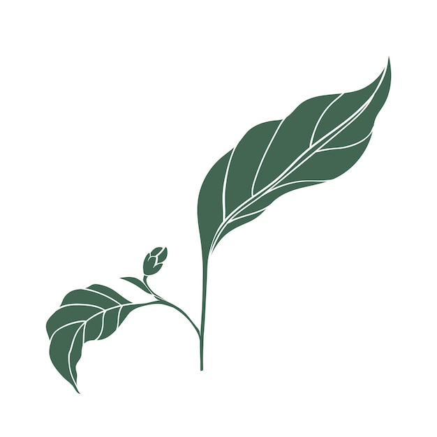 Chili pepper leaves icon Color silhouette of green leaf