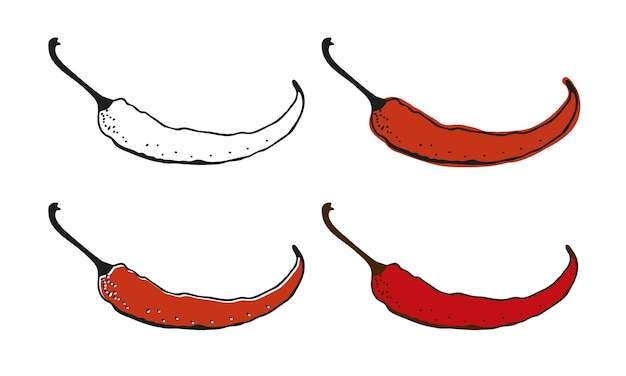 Chili pepper vector illustration hand drawn set isolated on white