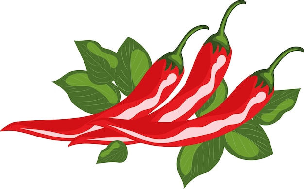 Chilipepers met bladeren Hoge kwaliteit vectorillustratie