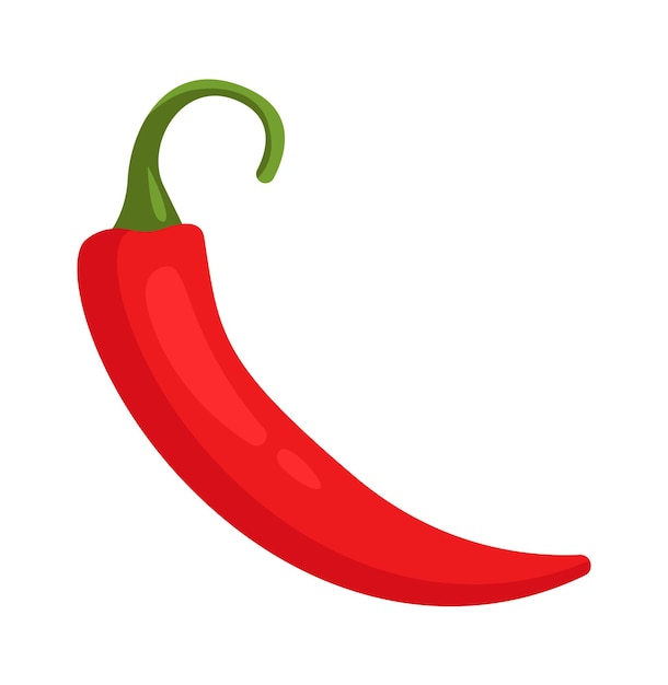 Chilli Pepper Herb Spice Vector illustration