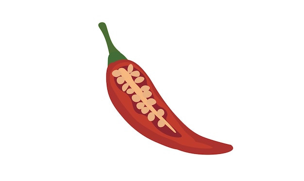 Chilli vector set Chilli cut in half Chopped Chilli spices Flat vector in cartoon style Pepper