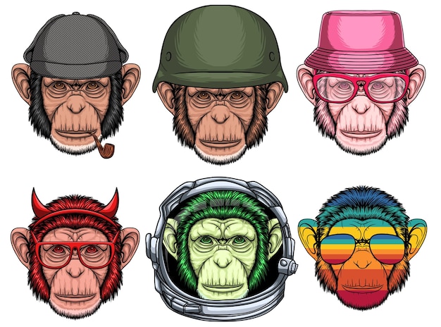 Vector chimpanzee fashion set collection