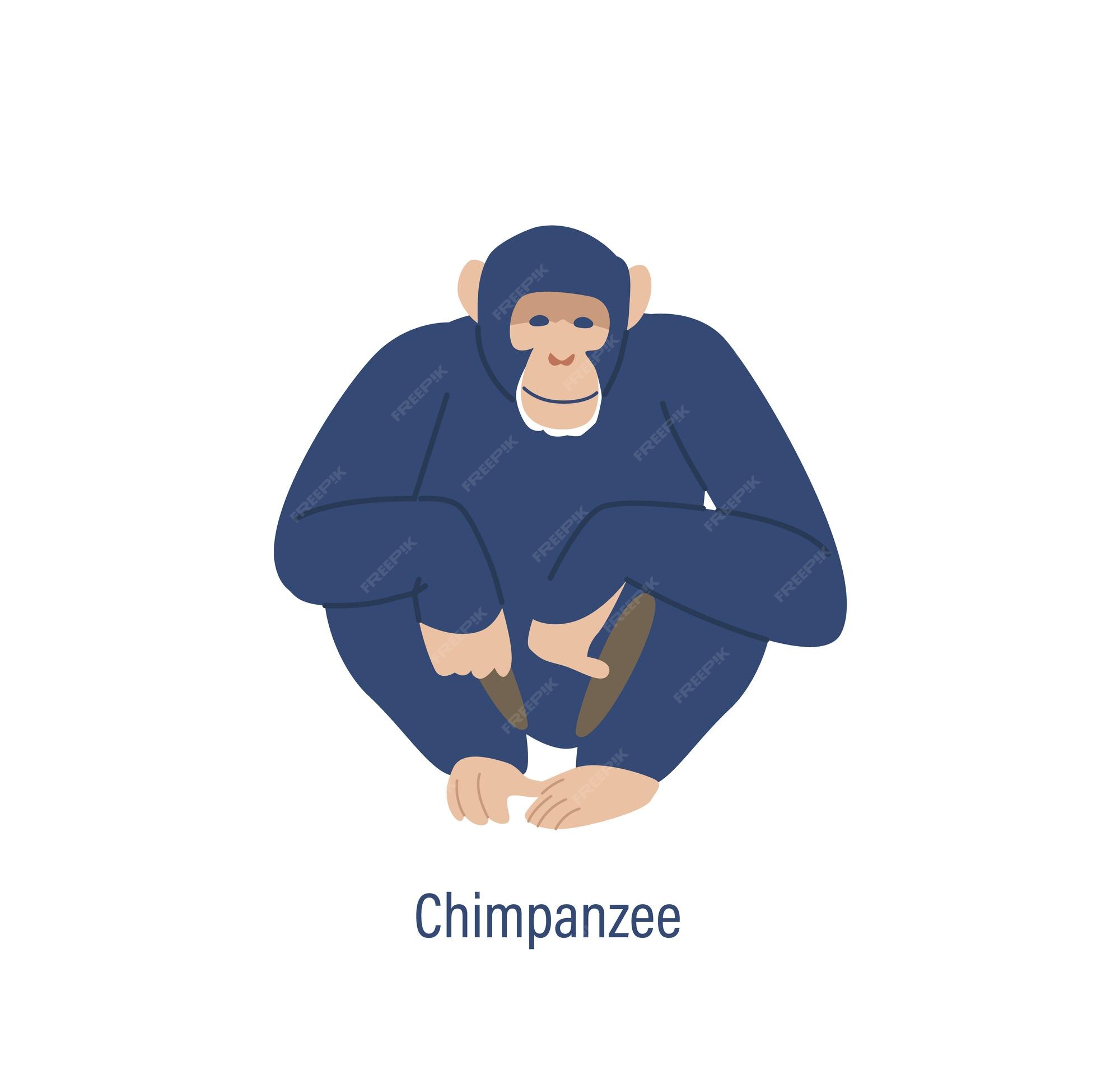 Premium Vector Chimpanzee monkey ape wild animal chinese horoscope