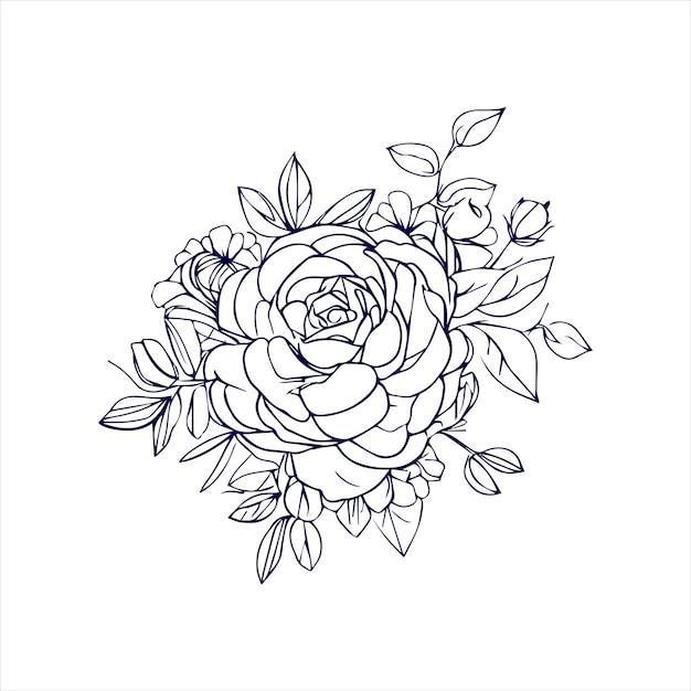Китайская роза с ручным рисунком и эскизом