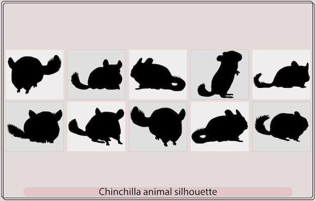 Силуэт животного шиншиллы Набор векторных силуэтов иллюстрации силуэта шиншиллы isol