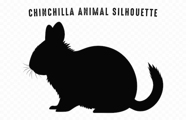 Vector chinchilla animal silhouette vector isolated on a white background hamster black clipart