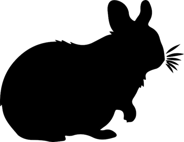 chinchilla black silhouette with transparent background