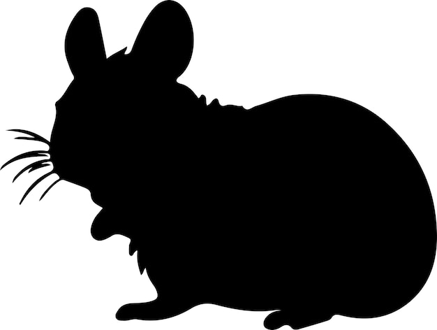 chinchilla black silhouette with transparent background