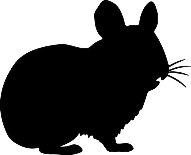 chinchilla black silhouette with transparent background