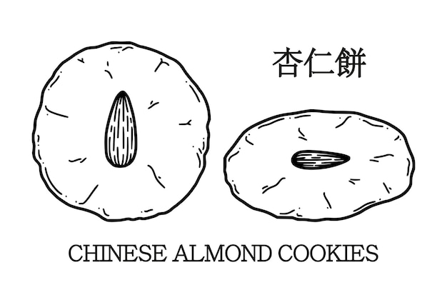 Chinese almond cookies vector illustration Chinese New year dessert almond biscuit