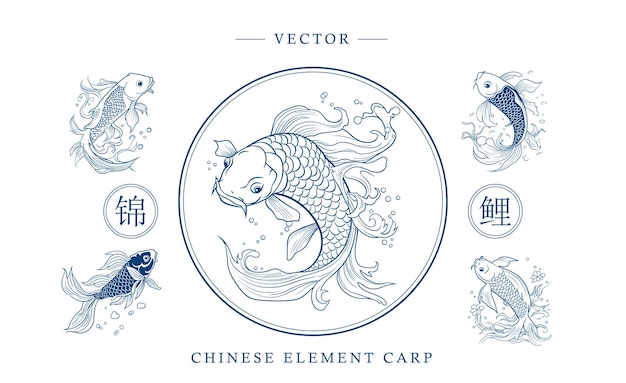 Chinese carp traditional art form