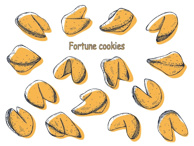 Chinese fortune cookies vector hand drawn set crisp cookie with a blank piece of paper inside