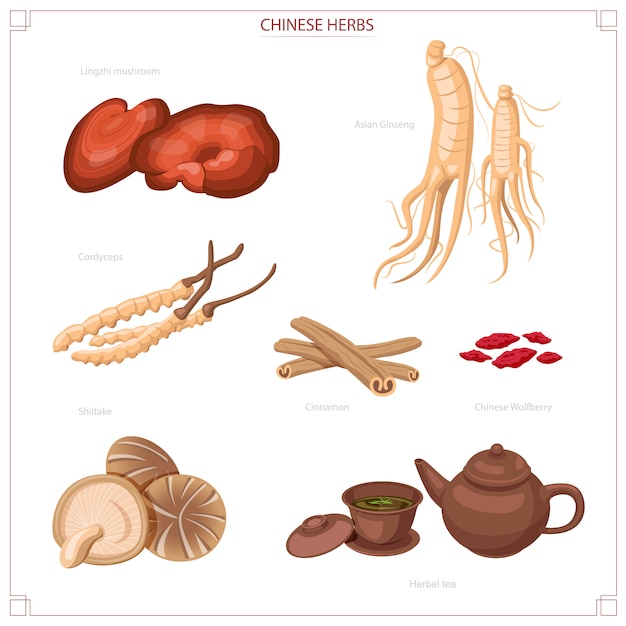 Chinese herbs, ginseng, reishi, cordyceps, shitake mushrooms and tea.