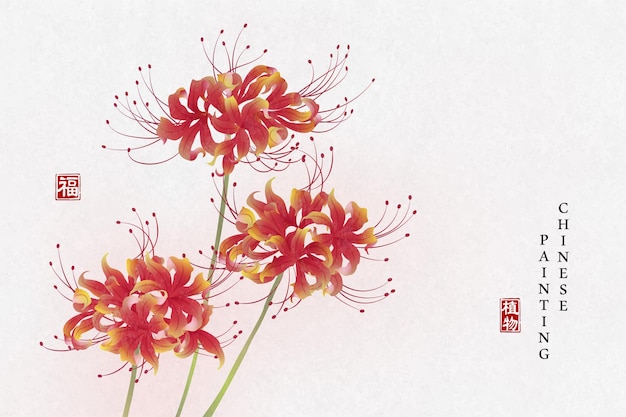 Vector chinese ink painting art background plant elegant flower lycorisradiata