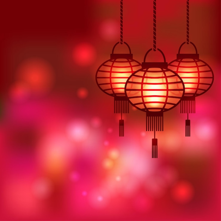 Vector chinese lantern on blurred background