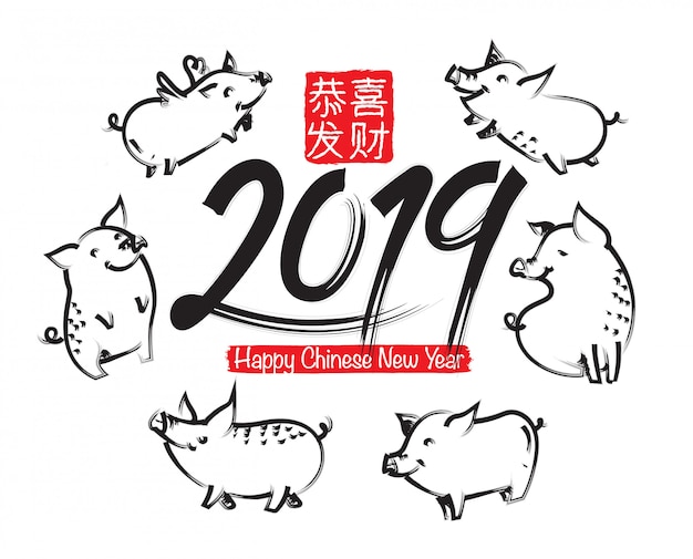 돼지 조디악과 함께 중국 설날 2019