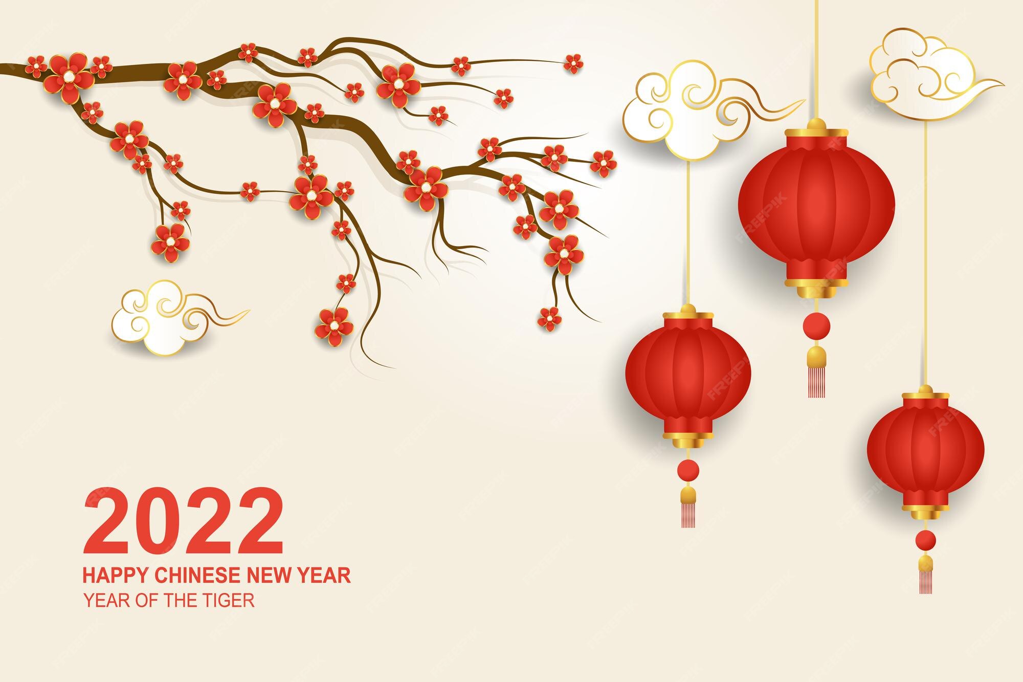chinese new year advertisement