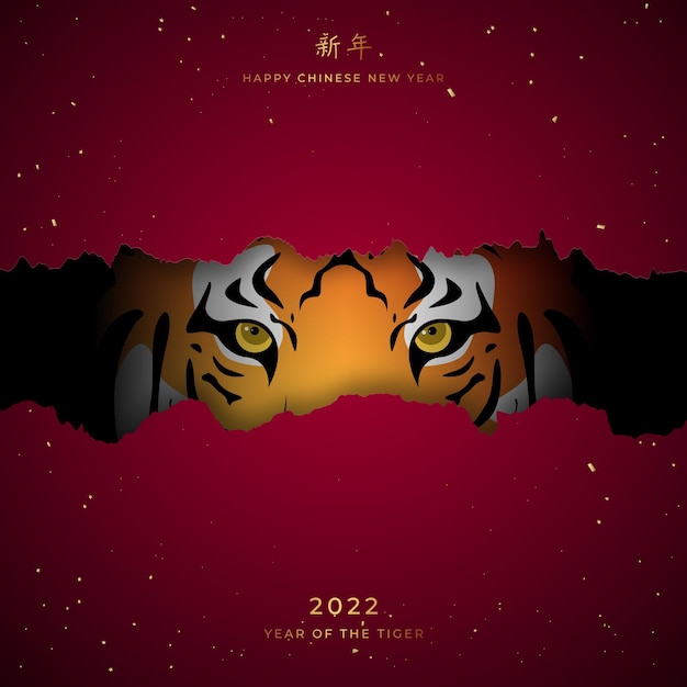 Vettore striscione festivo per il capodanno cinese 2022 la tigre guarda fuori dal buco nella carta rossa