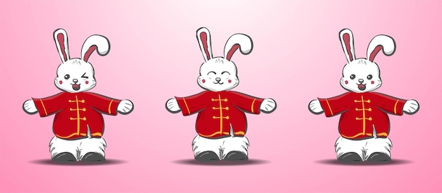 Chinese New Year Rabbit Cartoon