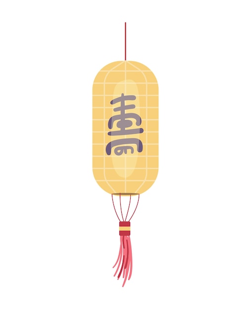 Chinese paper lantern vector illustration text long life