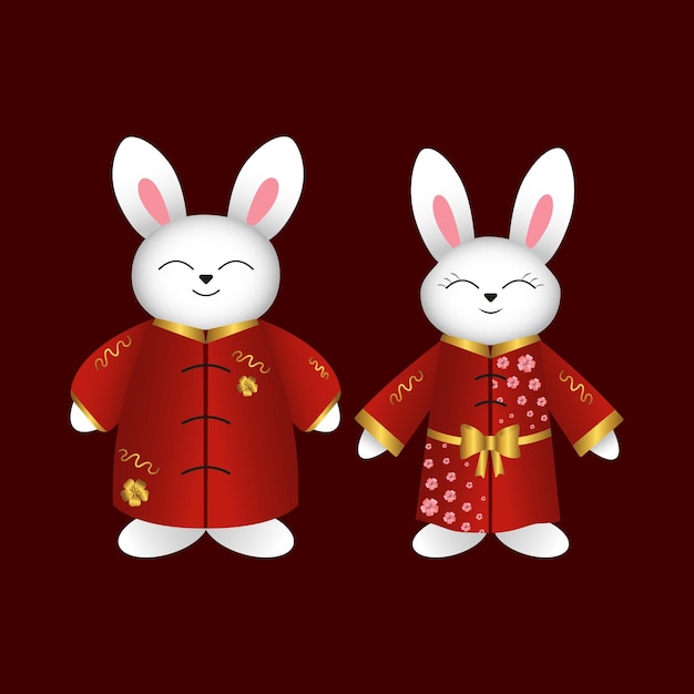 Chinese rabbits bunnies hare in red kimono Vector illustration Cchinese new year design element