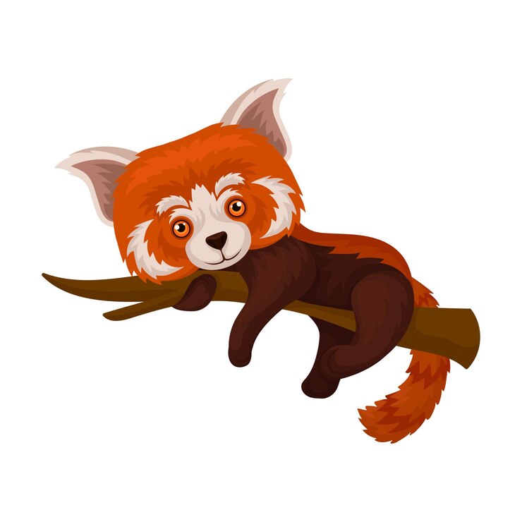 Vector chinese red panda lying on a tree branch cute fluffy wild animal vector illustration isolated on a white background