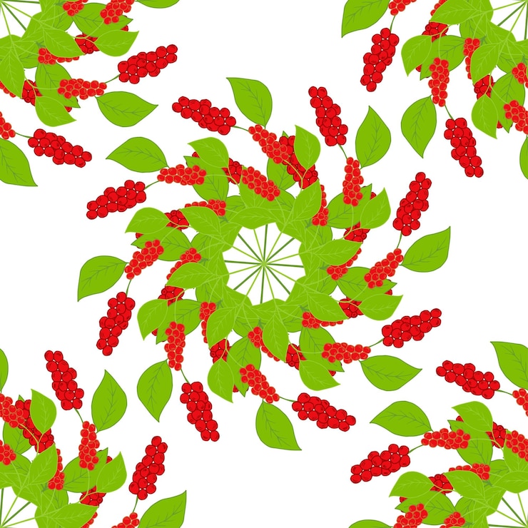 Vector chinese schisandra in color mandala seamless 2