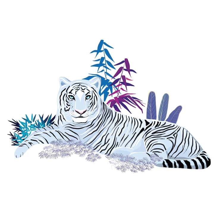 Vector chinese tiger new year asian animal predator