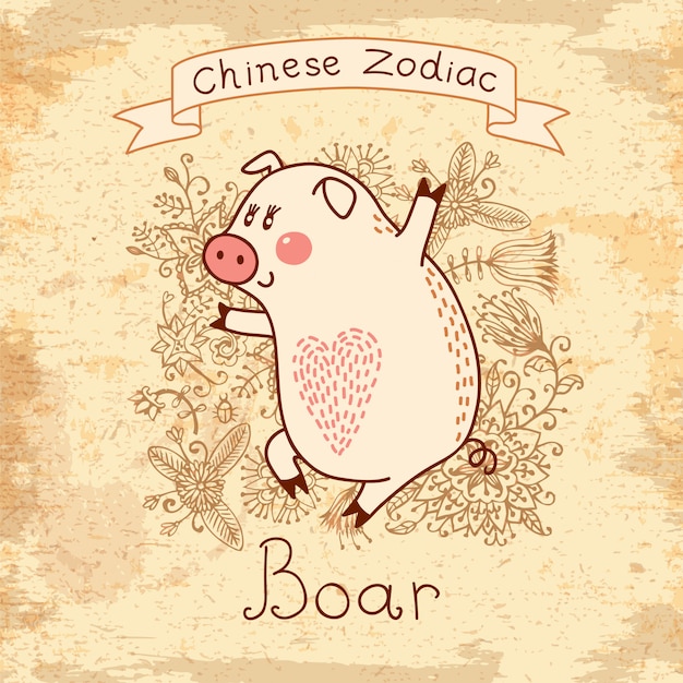 Vector chinese zodiac - boar