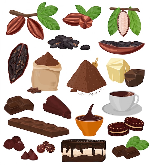 Chocolade cartoon cacao choco zoet eten van cacaobonen cake confectie illustratie set van tropisch fruit en cacaopoeder voor drank en koekje geïsoleerd op witte achtergrond