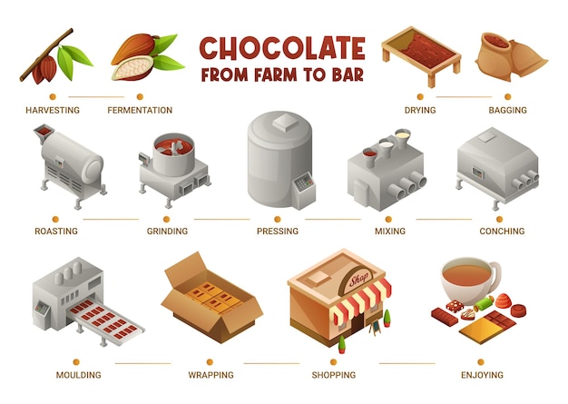 Chocoladeproductie isometrisch infographicsschema van oogsten tot roosteren, inpakken en winkelen vectorillustratie