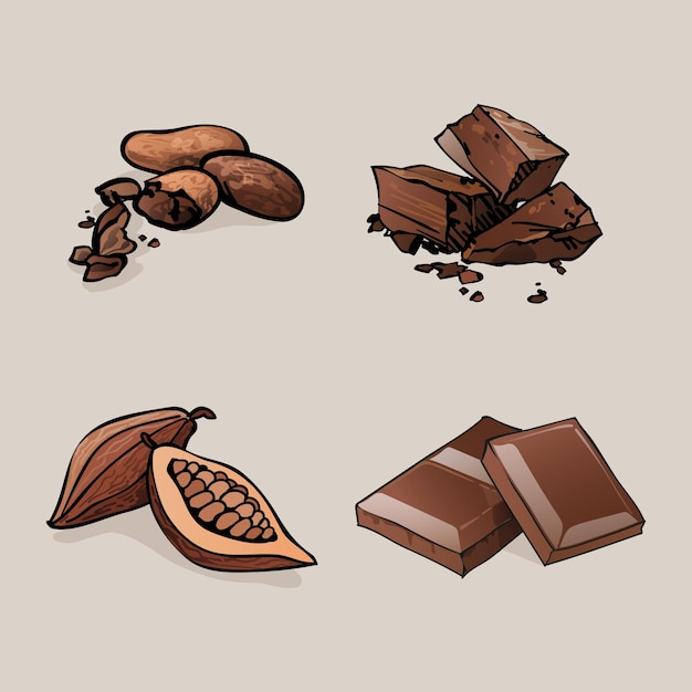 Chocolate and cacao beans illustrations