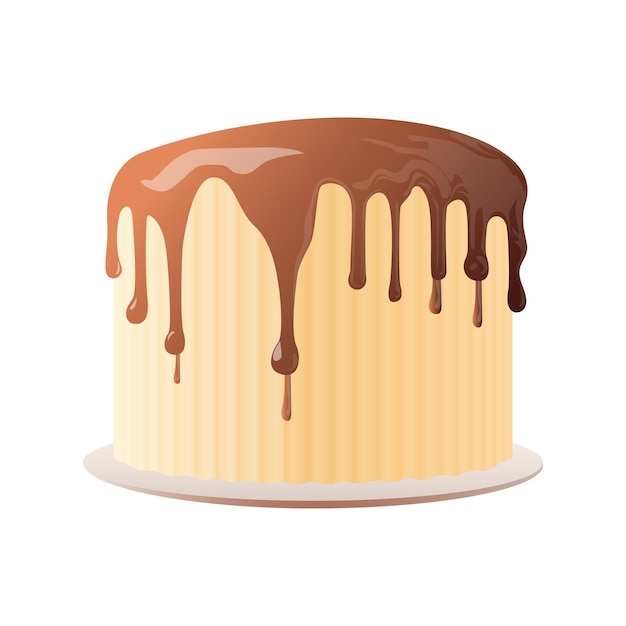 Chocolate Cake with Chocolate Icing and Chocolate Drips - Cake with Chocolate on a white Background.