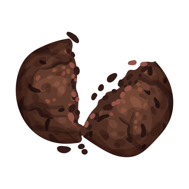 Vector  ⁇ 색 배경  ⁇ 터 아이템에 고립된 초콜릿 쿠키 파편과  ⁇ 