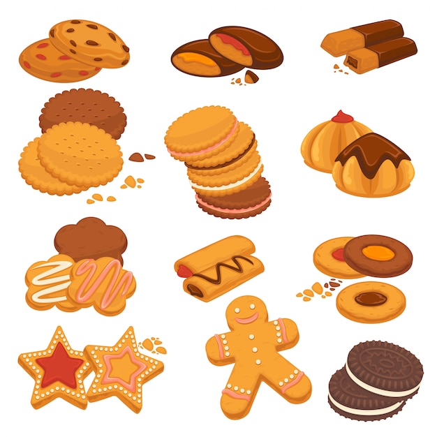 Vector chocolate cookies and gingerbread biscuits