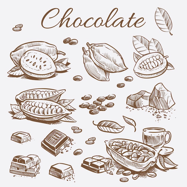 Шоколадная коллекция элементов. рука рисунок какао-бобы, шоколадные батончики и листья