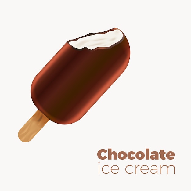 Chocolate ice cream vector