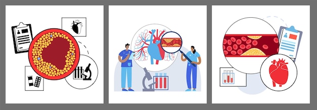 Cholesterol in human blood vessels and heart fat cells in vein blocked vascular